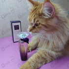 Духи Tresor  Midnight Rose от Lancome