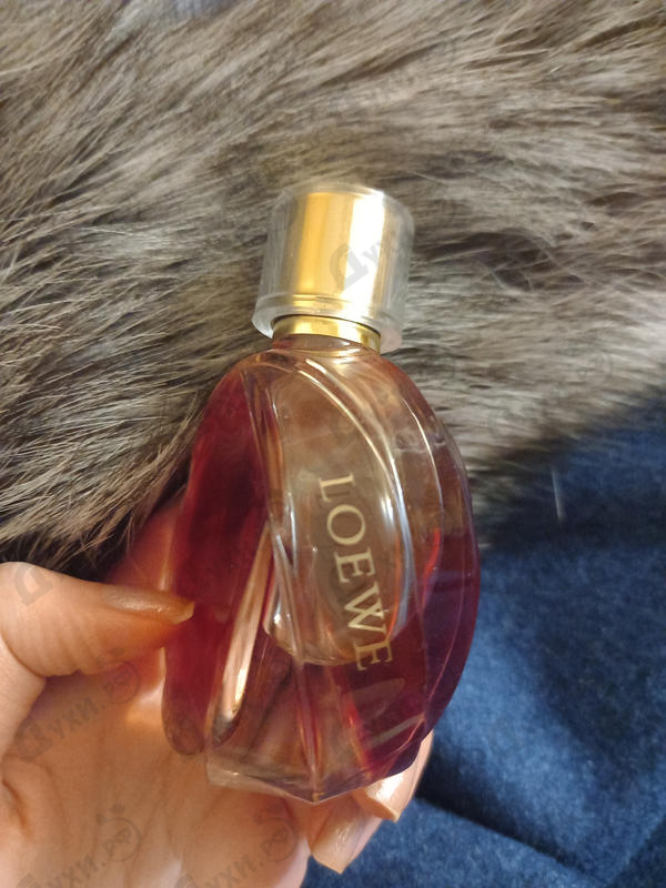 Парфюмерия Quizas,quizas,quizas Pasion от Loewe