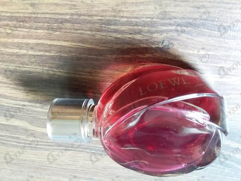 Парфюмерия Quizas,quizas,quizas Pasion от Loewe