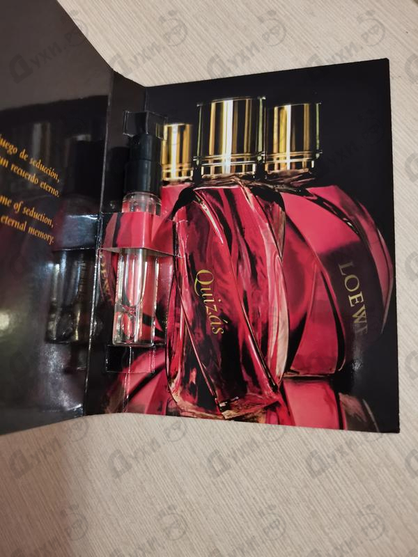 Купить Quizas,quizas,quizas Pasion от Loewe