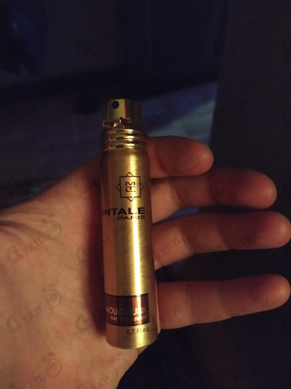 Купить Aoud Musk от Montale
