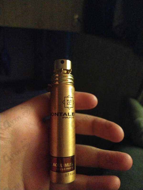 Купить Aoud Musk от Montale