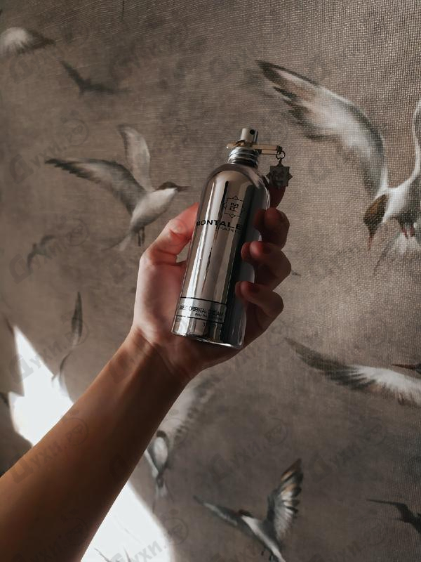 Парфюмерия Montale Sweet Oriental Dream Купить Sweet Oriental Dream от Montale