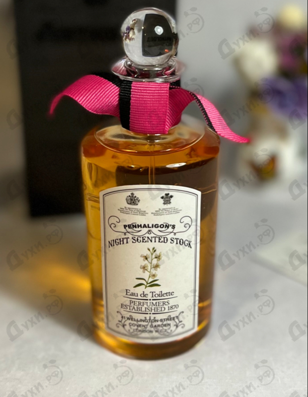 Духи Anthology Night Scented Stock от Penhaligon's