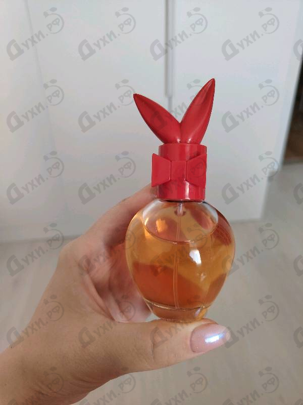 Купить Play It Rock от Playboy