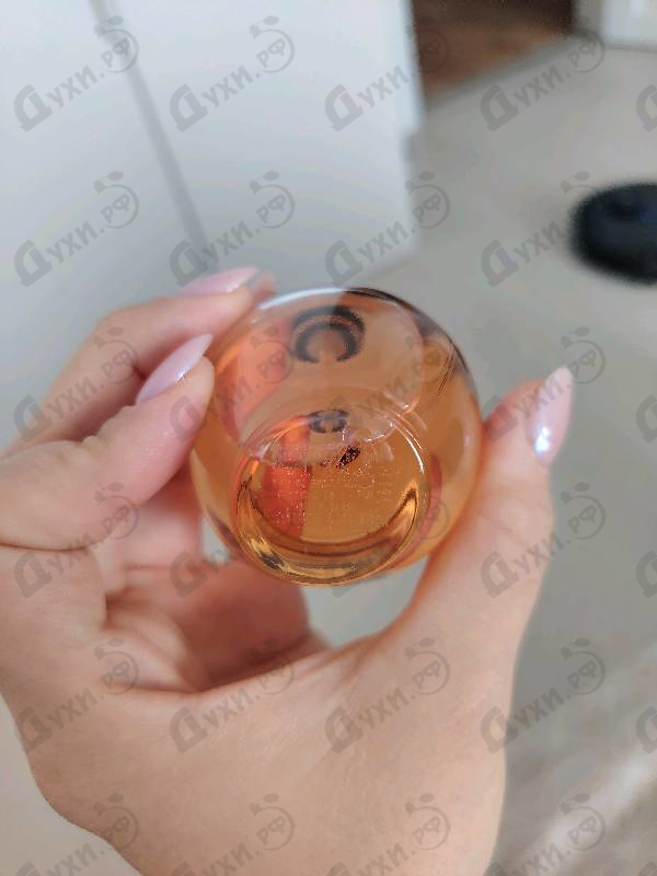 Купить Play It Rock от Playboy