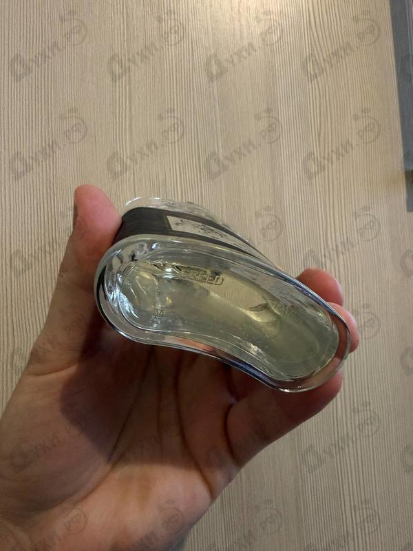 Отзыв Creed Aventus