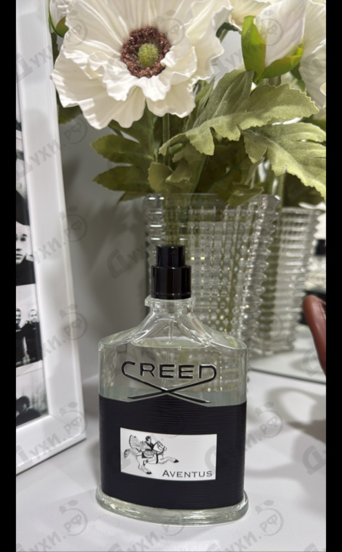 Отзыв Creed Aventus