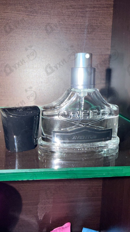 Купить Aventus от Creed
