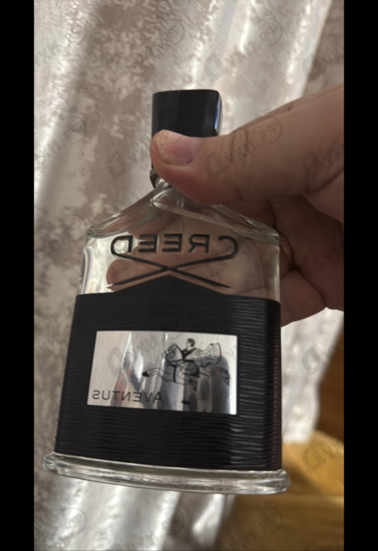 Отзыв Creed Aventus