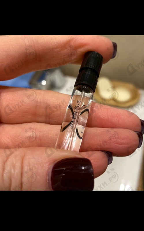 Купить Aventus от Creed