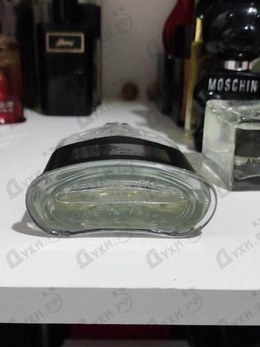 Купить Aventus от Creed