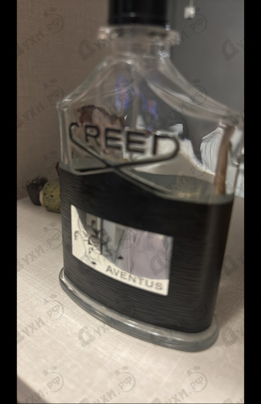 Отзыв Creed Aventus