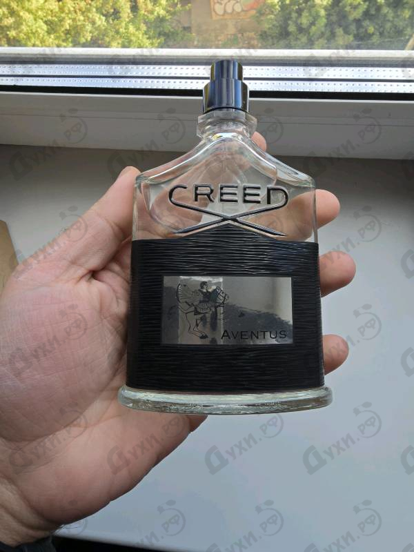 Отзыв Creed Aventus