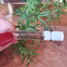 Парфюм Calvin Klein Euphoria Forbidden