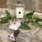 Духи Wild Bluebell от Jo Malone