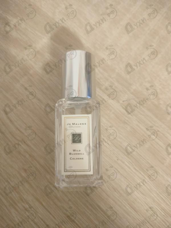 Купить Wild Bluebell от Jo Malone