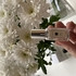 Духи Jo Malone Wild Bluebell Духи Wild Bluebell от Jo Malone