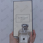 Отзыв Jo Malone Wild Bluebell