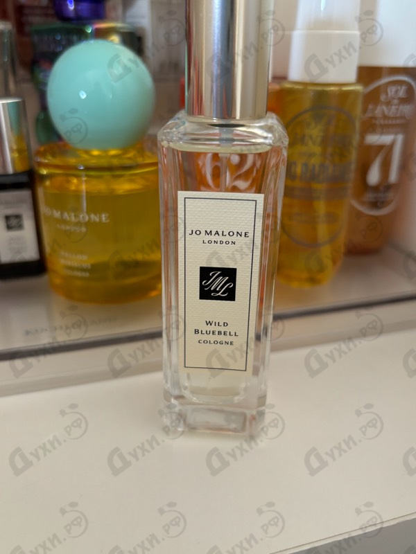 Купить Wild Bluebell от Jo Malone