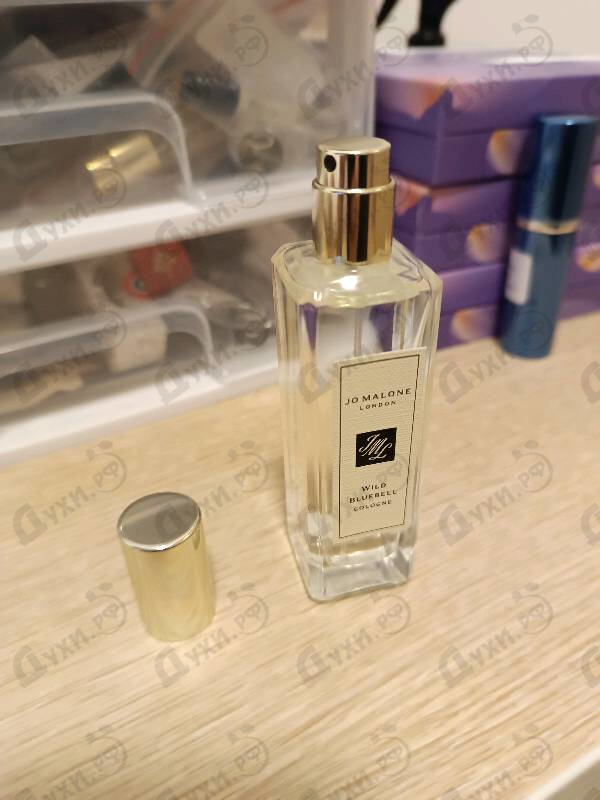 Купить Wild Bluebell от Jo Malone