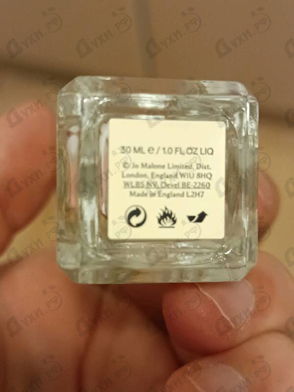 Духи Wild Bluebell от Jo Malone