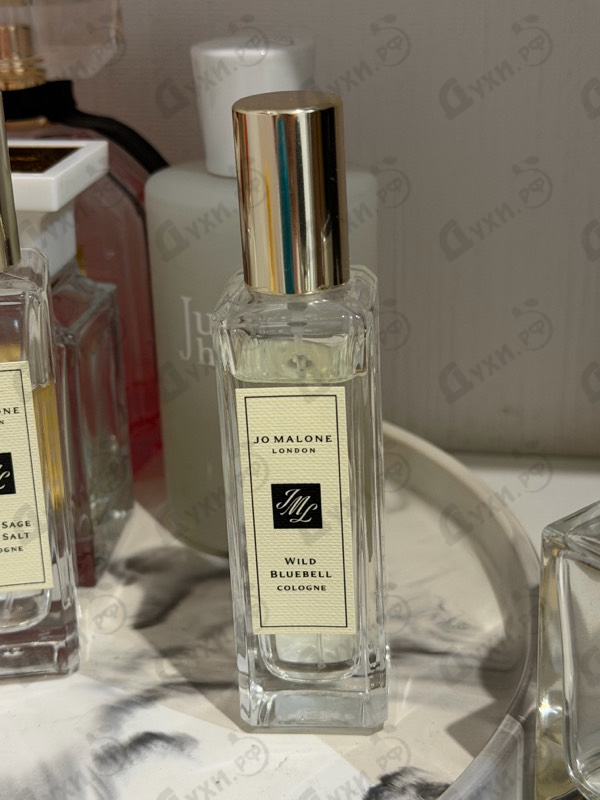 Парфюмерия Wild Bluebell от Jo Malone