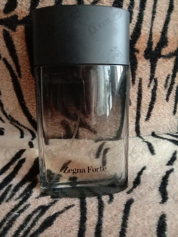 Купить Zegna Forte