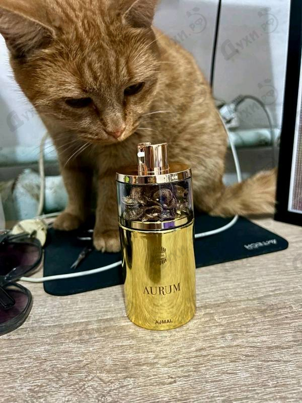 Отзывы Ajmal Aurum