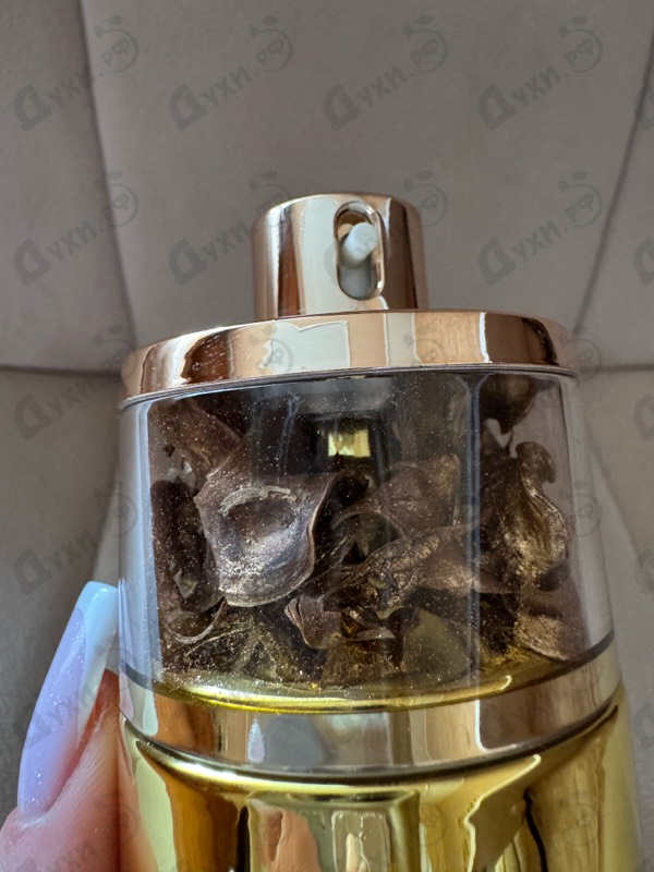 Отзыв Ajmal Aurum