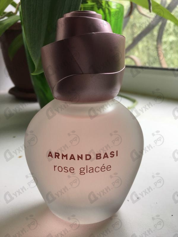 Купить Rose Glacee от Armand Basi