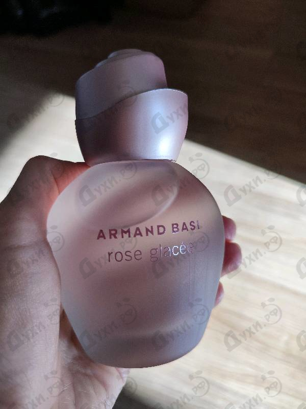 Купить Rose Glacee от Armand Basi