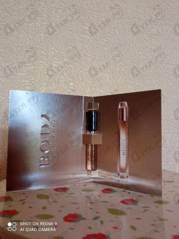 Купить Body от Burberry