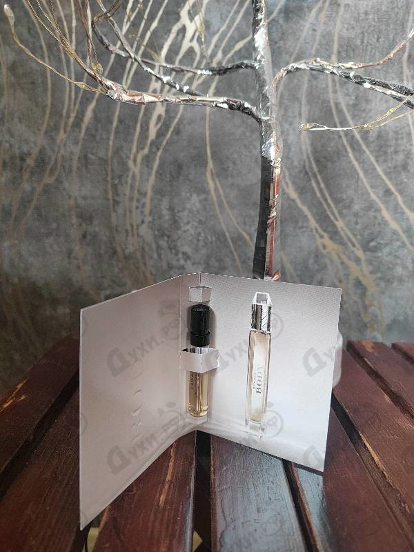 Купить Body от Burberry