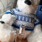 Отзывы Burberry Body