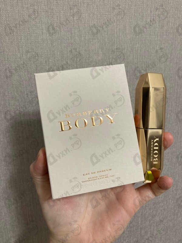 Купить Body от Burberry