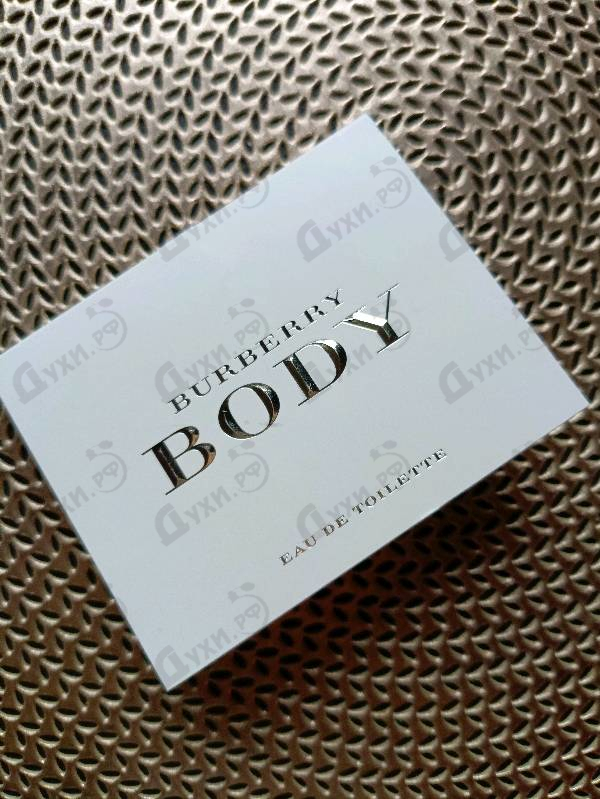 Купить Body от Burberry