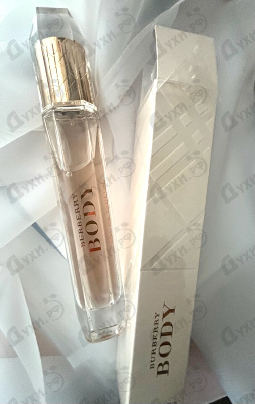 Купить Body от Burberry