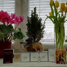 Парфюм Chanel Jersey