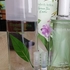 Купить Green Tea Exotic от Elizabeth Arden