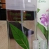 Парфюмерия Elizabeth Arden Green Tea Exotic