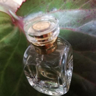 Отзывы Gres Marlene Dietrich My Passion