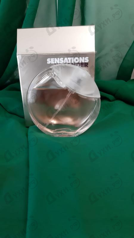 Купить Jil Sander Sensations