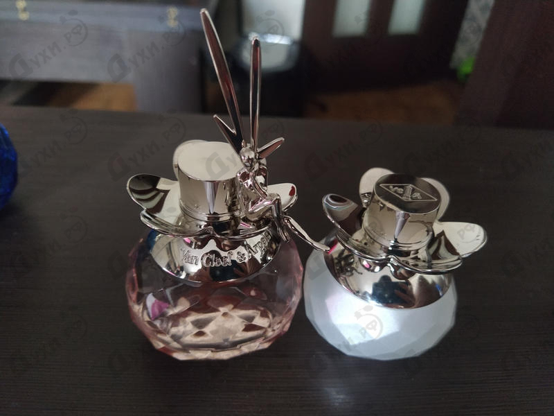 Духи Feerie  Rose Des Neiges от Van Cleef & Arpels Отзывы Van Cleef & Arpels Feerie  Rose Des Neiges