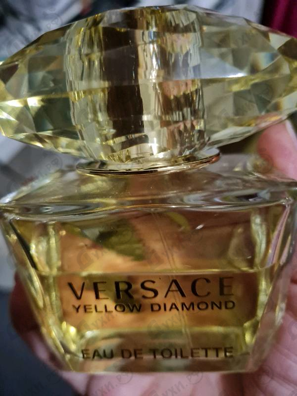 Отзывы Versace Yellow Diamond