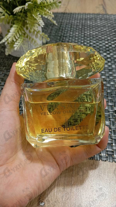 Отзывы Versace Yellow Diamond
