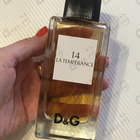 Духи 14 La Temperance от Dolce & Gabbana