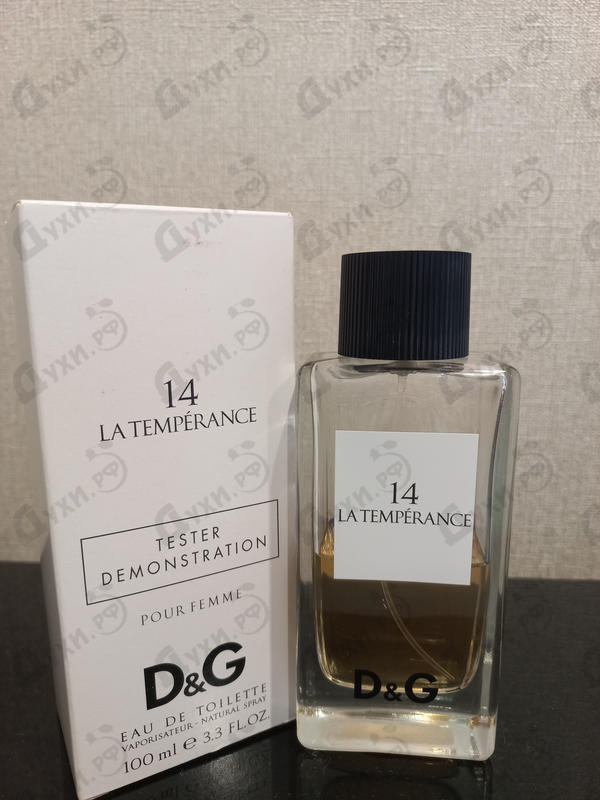 Купить 14 La Temperance от Dolce & Gabbana