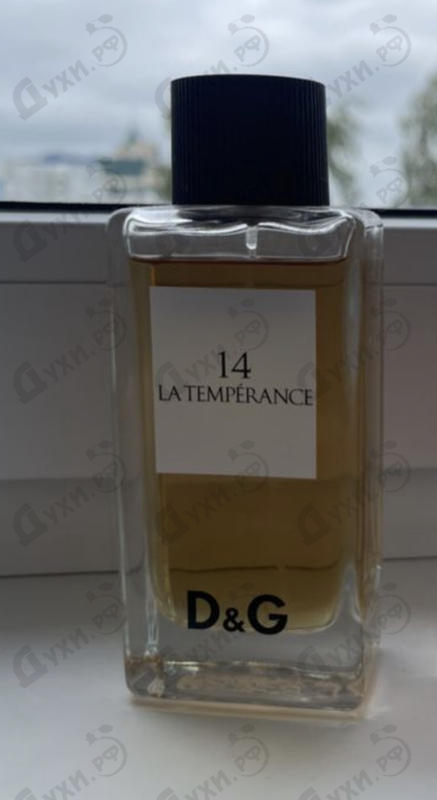 Духи 14 La Temperance от Dolce & Gabbana