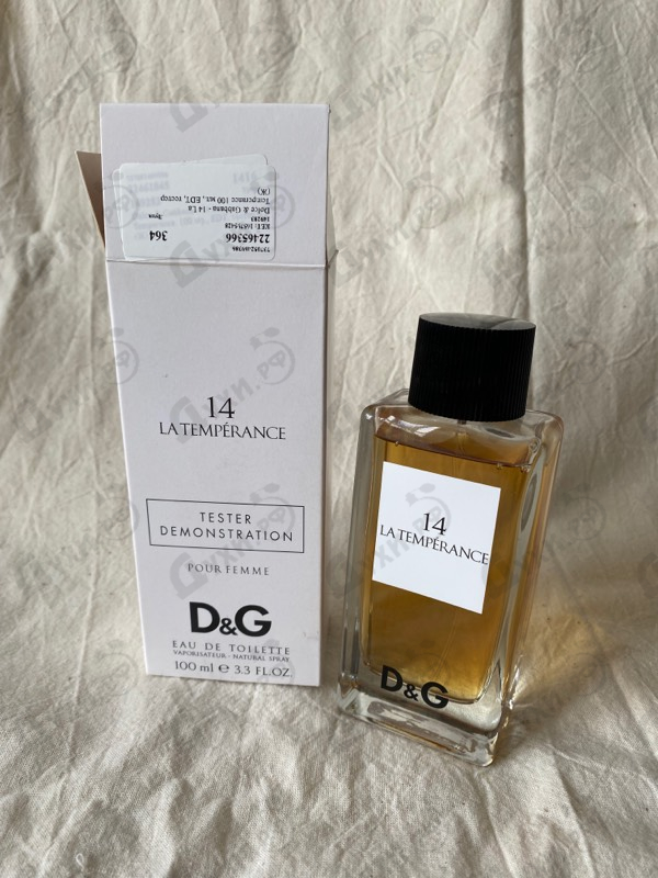 Купить 14 La Temperance от Dolce & Gabbana